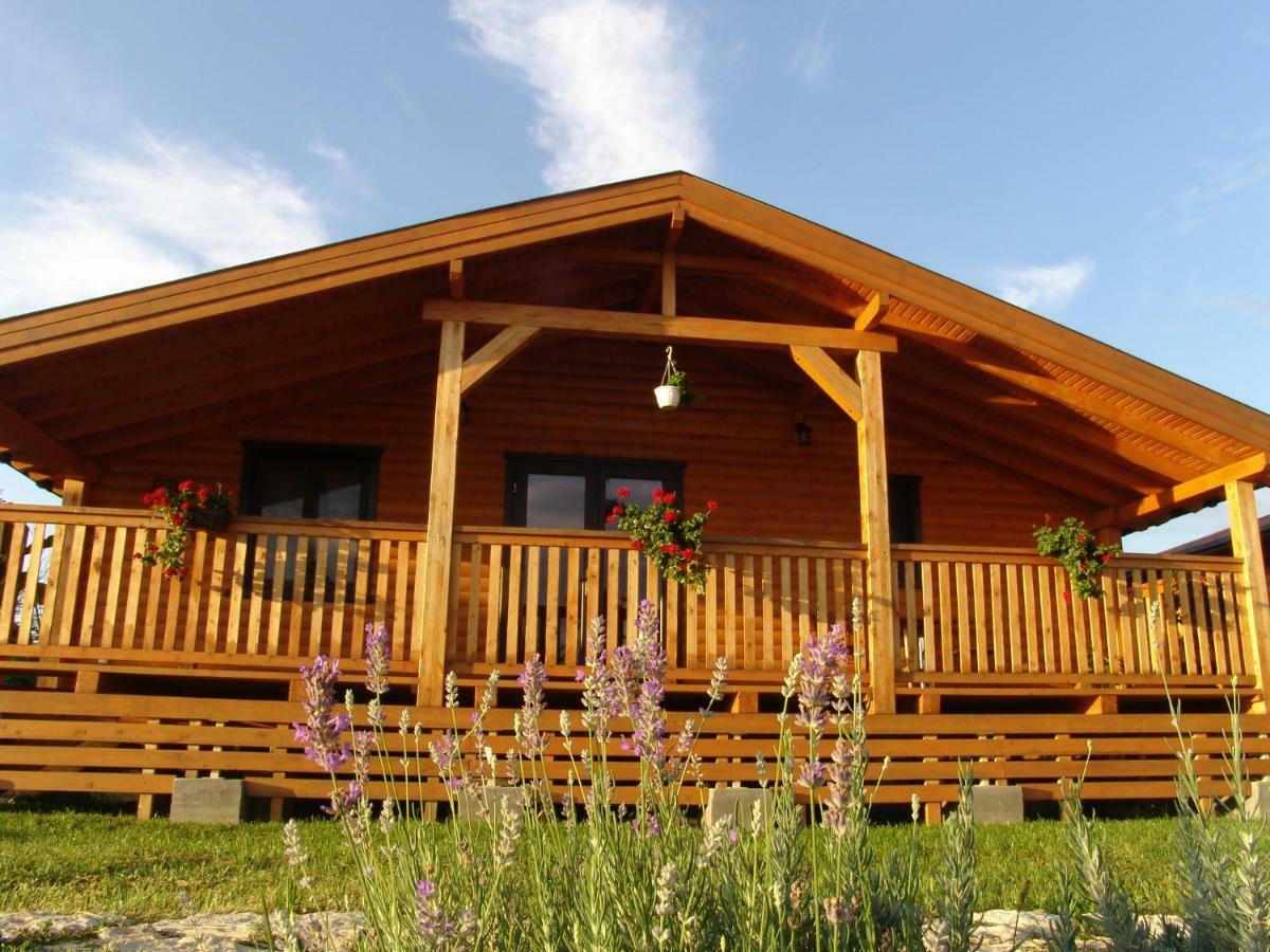Villa Complex Agroturistic Livada De Nuci Baia de Fier Exterior foto